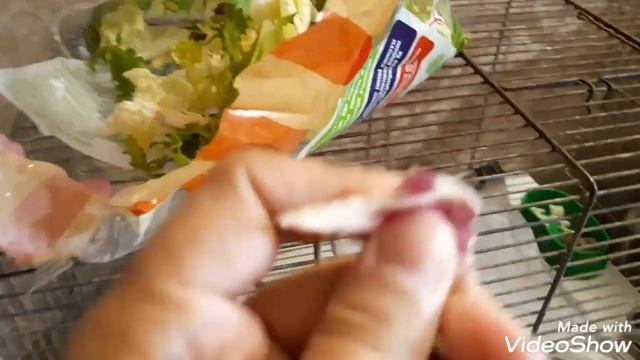 Питание крысенка. Чем кормить маленьких крысят? смотреть онлайн