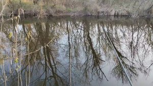 поплавок подсекатель