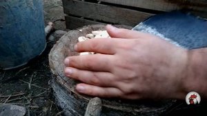 Французский омлет с грибами Азербайджанская Кухня Деревенская Кухня  Рецепты