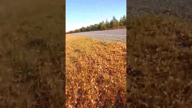 Поездка в ХМАО Приобье смотреть онлайн