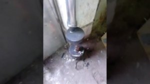 Маленькая печь на отработанном масле. ВНИМАНИЕ!  НЕНОРМАТИВНАЯ ЛЕКСИКА.