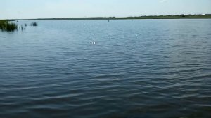 Село Архангельское Славгородский район (Алтай)