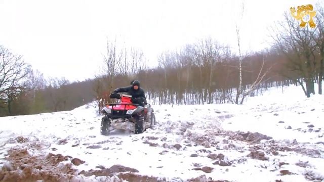 Гонки на квадроциклах смотреть онлайн