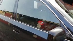 Toyta camry sv30 после полировки