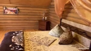 База отдыха Астаховская Долина Луганская область