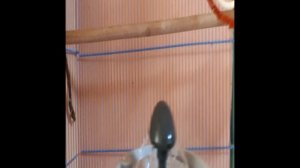 Поилка для попугайцев