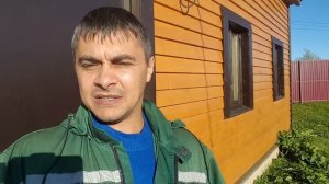 Какое качество молока черно пестрой коровы, мифы и домыслы