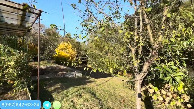 ОДНОЭТАЖНЫЙ ДОМ В СОЧИ С СУБТРОПИЧЕСКИМ САДОМ | 42 СОТКИ ЗЕМЛИ смотреть онлайн