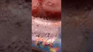 Эксклюзивные морепродукты. Рынок Владивосток, Первая речка.