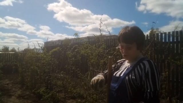 Ремонт теплицы.
