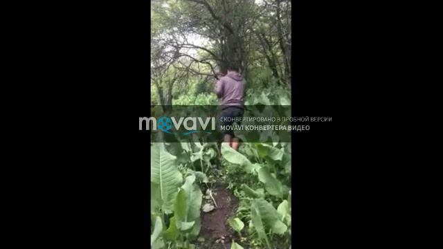 Канал НСТ самое страшное ТВ