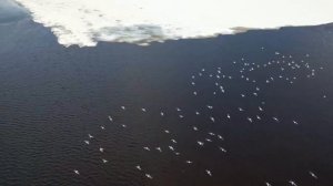 Река Печора  Царица русского Севера