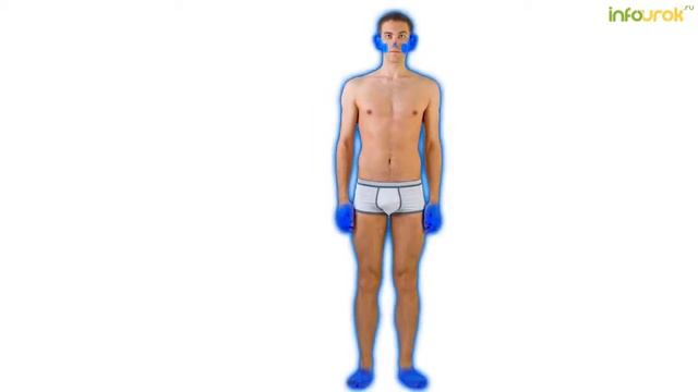 Безопасность жизни и здоровья в зимнее время   Классные часы и ОБЖ 16   Инфоурок