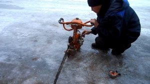 Бензопила Дружба 4 , попытка распилить вязь