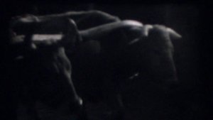 Норшен - Цхалтбила 1960x - 1970x