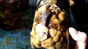 Маринованые грибы. Проверенный бабушкин рецепт.