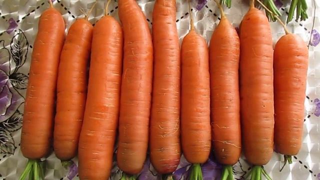 Морковь на тяжёлом грунте смотреть онлайн