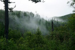 ВЕЛИКАЯ РЕКА ДАЛЬНЕГО ВОСТОКА