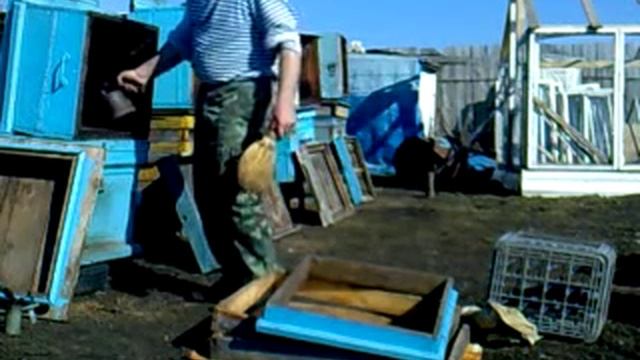 Весна на пасеке смотреть онлайн