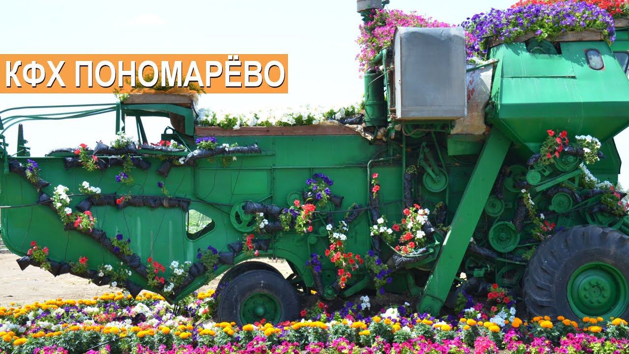 Зерновые, масличные, бахчевые культуры. КФХ Пономарёво. Рассказ о хозяйстве