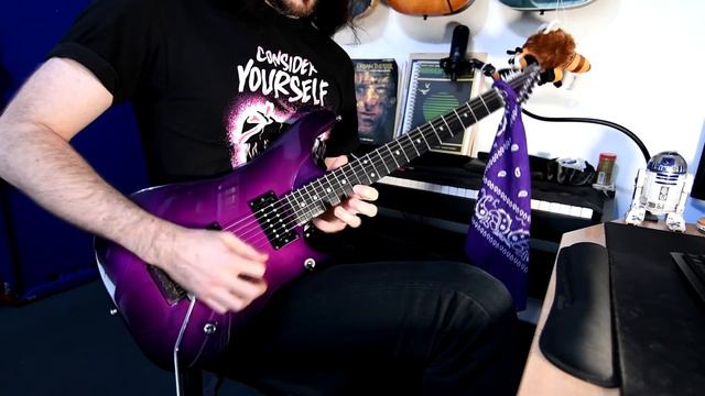 Flight of the Wounded Bumblebee (Nuno Bettencourt) - Cover on Purple Washburn N4 смотреть онлайн