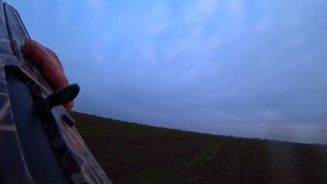 Охота на зайца, но куропатки тоже неплохо! смотреть онлайн