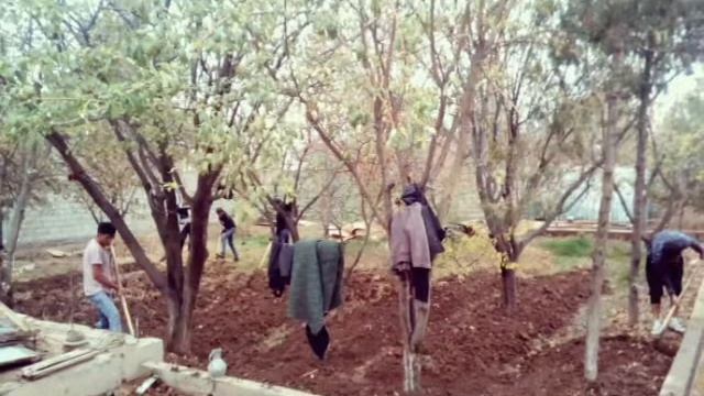 G'uzor смотреть онлайн