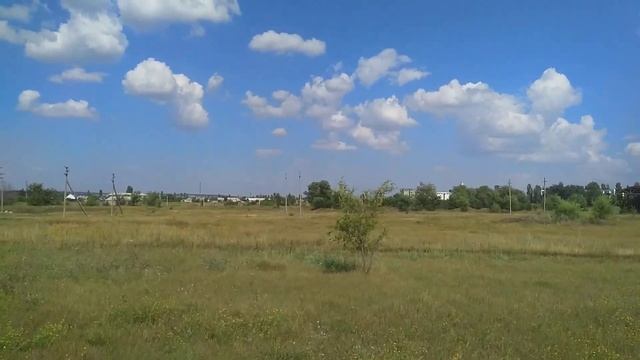 стрижа выкормил и отпускаем и первый полёт
