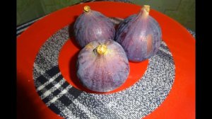 ИНЖИР Все полезные свойства инжира