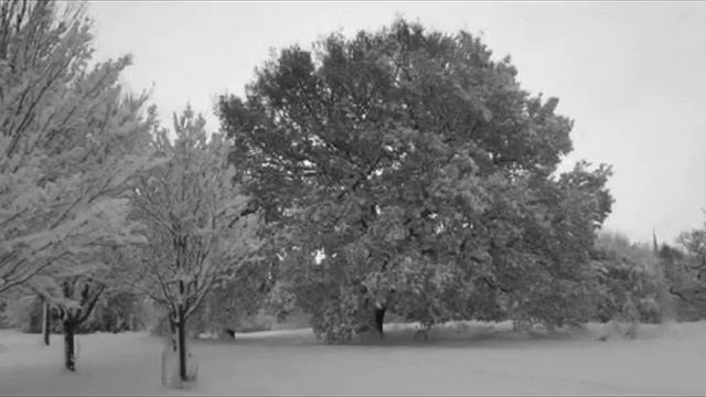 Riddings Park in the depths of winter December 2010 смотреть онлайн