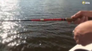 Раттлин Pontoon21 Bet-A-Vib – основные свойства…