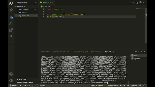 Python Виртуальное Окружение | НИКОГДА НЕ ДЕЛАЙ ТАК