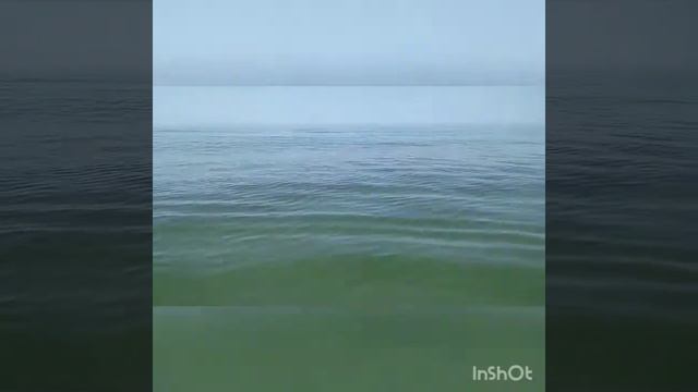 КАКОЕ МОРЕ! Какая вода!!! Джарылгач 2020. Нашествие крабов