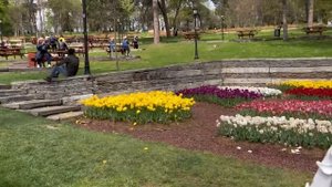 Приехали на Фотосессию в Парк Эмирган