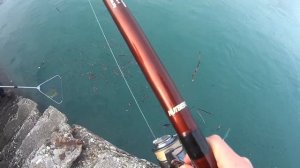 Форель из Сочи, вторая рыбалка  Рыба походу заканчивается