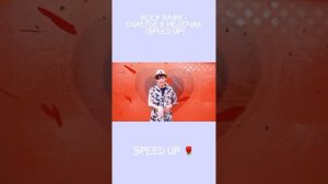 Holy Baam - счастье в мелочах  (speed up)