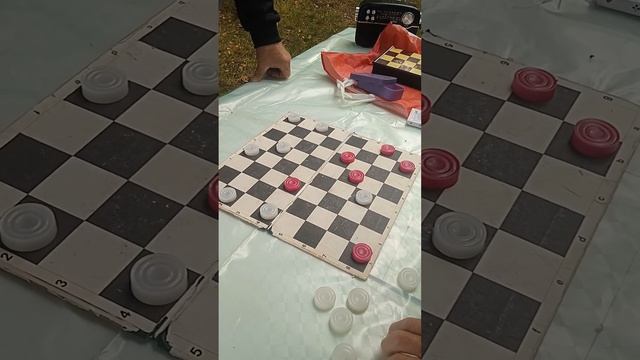 01.10.2023 Brest Belarus. Отдых на природе с клубом развития личности "Оптимист" Walks with Victori смотреть онлайн