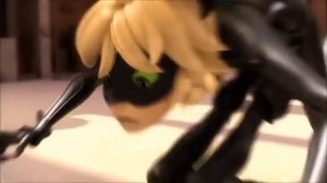 клип-чёрный кот