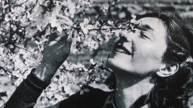 The Incredible British Female Spies of WWII смотреть онлайн