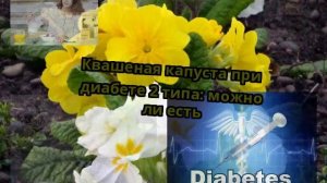 Квашеная капуста при диабете 2 типа: можно ли есть