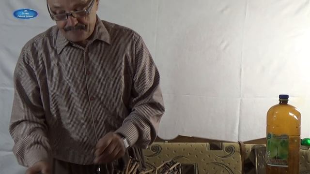 БЕЗ СЕКРЕТОВ! ВЫРАЩИВАНИЕ ВЕГЕТИРУЮЩИХ САЖЕНЦЕВ ВИНОГРАДА! ЧАСТЬ 1. смотреть онлайн