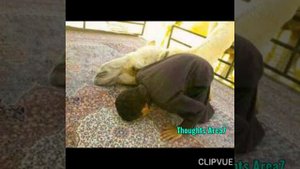 чудеса Аллаха