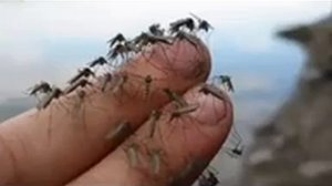 Кольщик наколи мне клапана