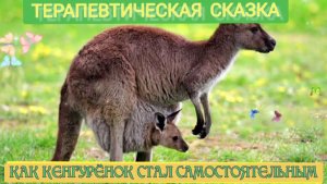 Как Кенгуреныш стал самостоятельным. Психологическая и воспитательная сказка. Терапевтическая Сказка