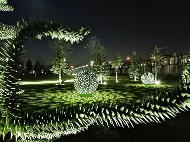 Парк галицкого фото и цены 2025 Парк галицкого фото и цены 2025