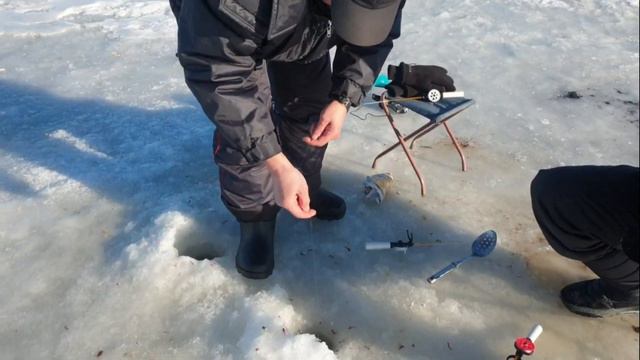 Зимняя рыбалка на Финском заливе. смотреть онлайн