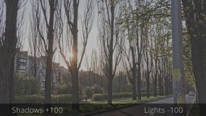 Canon R10 HDR PQ 4:2:2 vs SDR 4:2:0 CineStyle Technicolor review of colours and Dynamic Range.