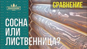 Сруб из сосны превратился в лиственницу после покраски! Наикрасивейший рисунок дерева!