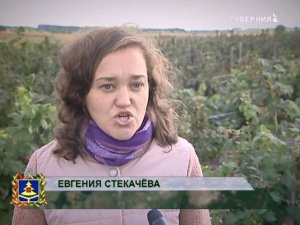 край брянский почепский район 24 10 17