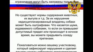 Законно ли держать собак в квартире?